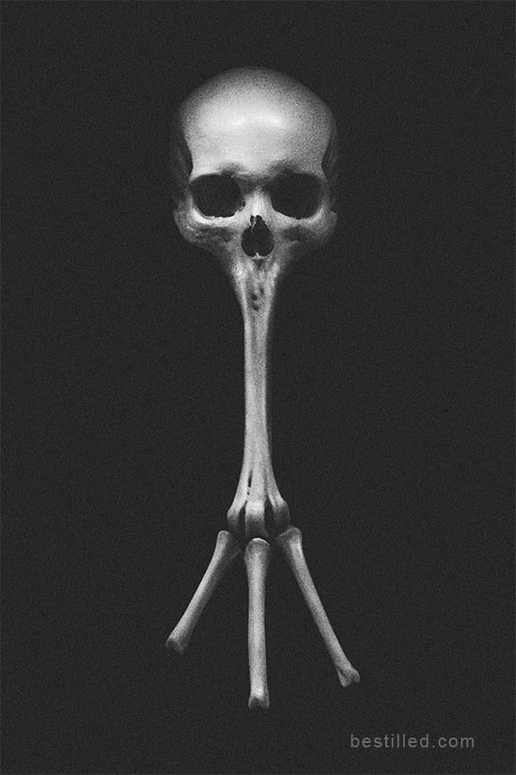 Skull with mouth merged into a long bone. Surreal black and white art by Joseph Westrupp.