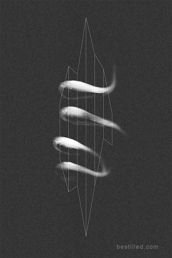 Curved shapes with geometric lines. Surreal abstract artwork in black and white by Joseph Westrupp.