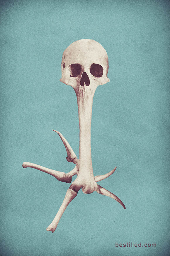 Skull with mouth merged into a bone with spikes at the end, on a textured blue background. Surreal art by Joseph Westrupp.