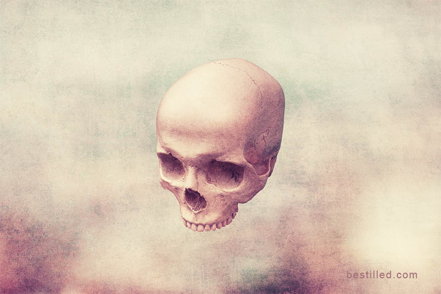 Skull on textured cream and purple background. Art photograph by Joseph Westrupp.