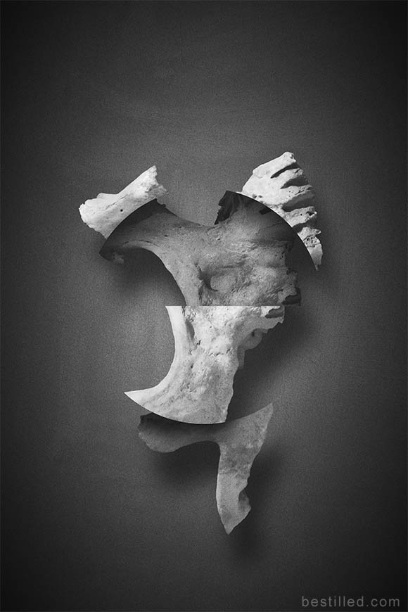 Geometric bone art in black and white. Abstract surrealism by Joseph Westrupp.
