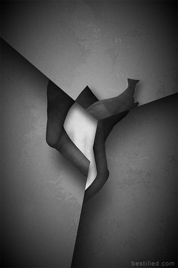 Geometric shell art in black and white. Abstract surrealism by Joseph Westrupp.