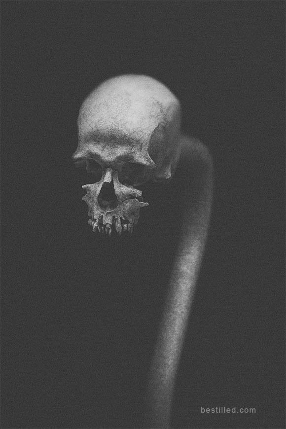 Decayed skull with arched serpent body. Black and white surreal art by Joseph Westrupp.