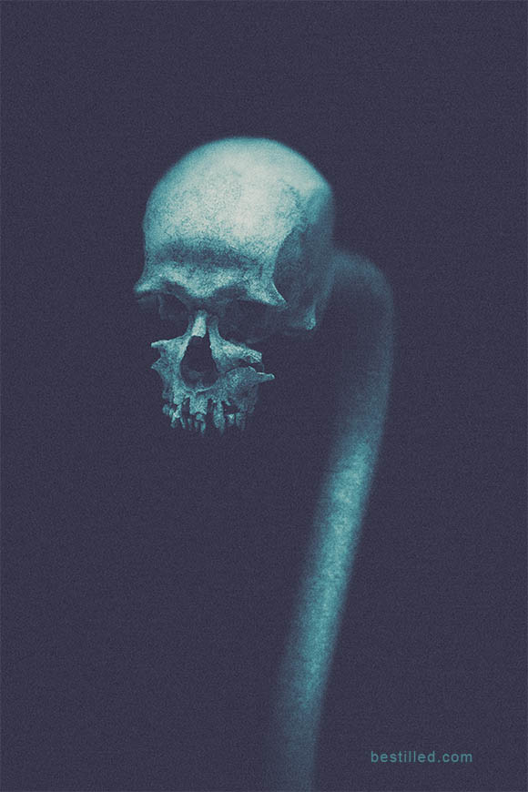 Decayed skull with arched serpent body. Surreal artwork in blue by Joseph Westrupp.