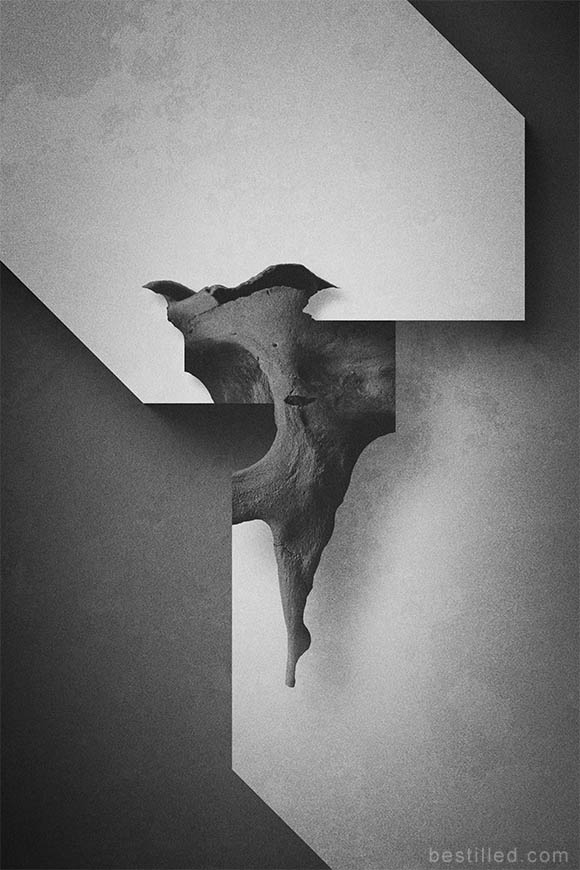 Sci-fi geometric bone art in black and white. Abstract surrealism by Joseph Westrupp.