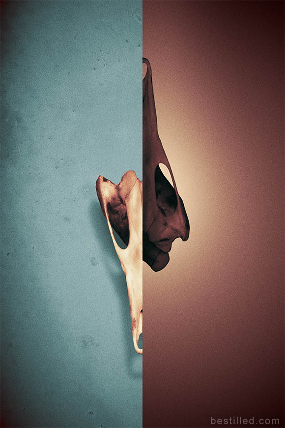 Sci-fi geometric bone art in turquoise and brown. Abstract surrealism by Joseph Westrupp.