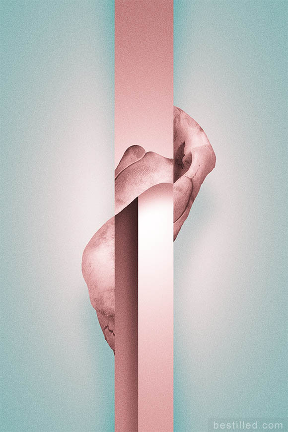 Pink elephant bone collage on rectangles, against verdigris background. Surreal abstract art by Joseph Westrupp.