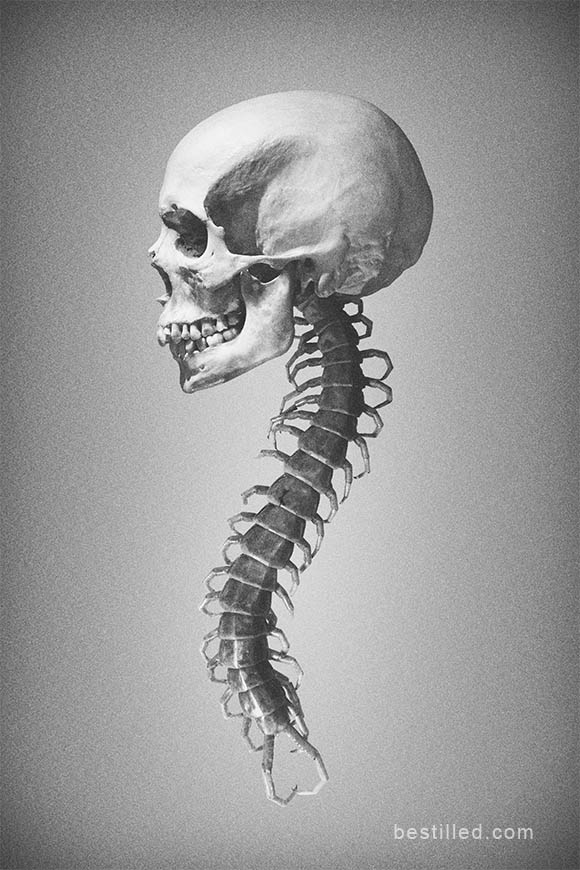 Skull with a centipede spine. Surreal art in black and white by Joseph Westrupp.