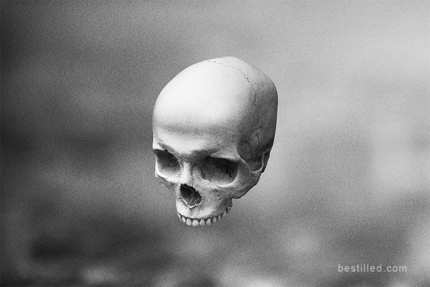 Skull on bokeh background, art photograph in black and white by Joseph Westrupp.