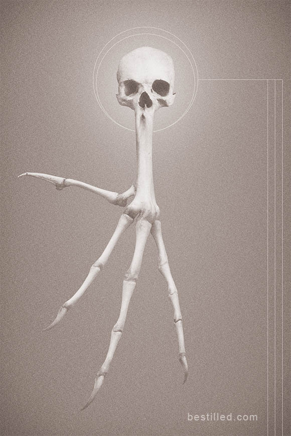 Skull and bird wing bone hybrid in brown monochrome. Surreal art by Joseph Westrupp.