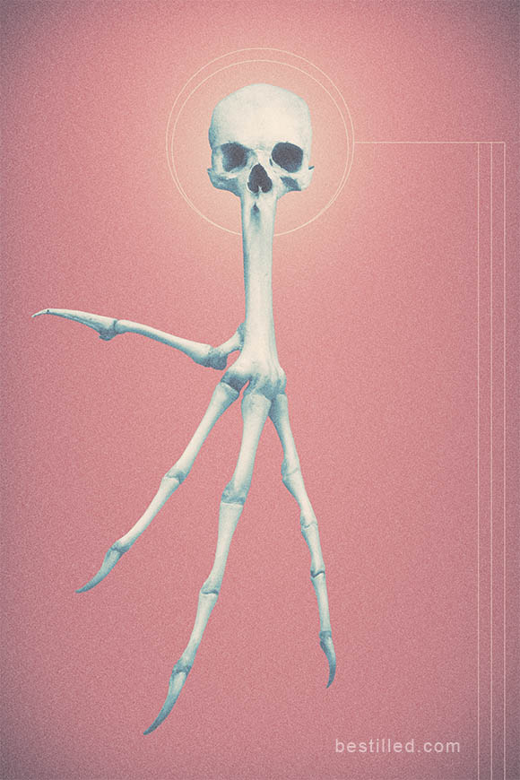 Skull and bird wing bone hybrid against pink/apricot background. Surreal art by Joseph Westrupp.