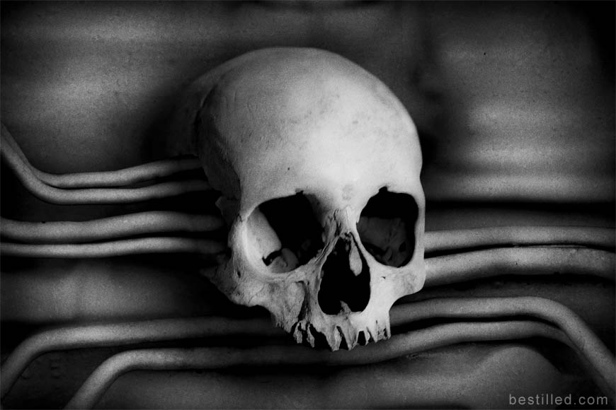 Sci-fi skull cyborg in black and white. Surreal art by Joseph Westrupp.