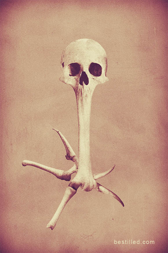 Skull with mouth merged into a bone with spikes at the end, on a textured tan background. Surreal art by Joseph Westrupp.