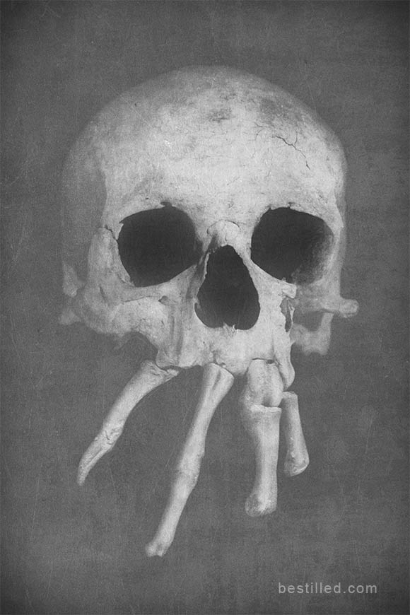 Skull with bones as teeth. Surreal art in black and white by Joseph Westrupp.