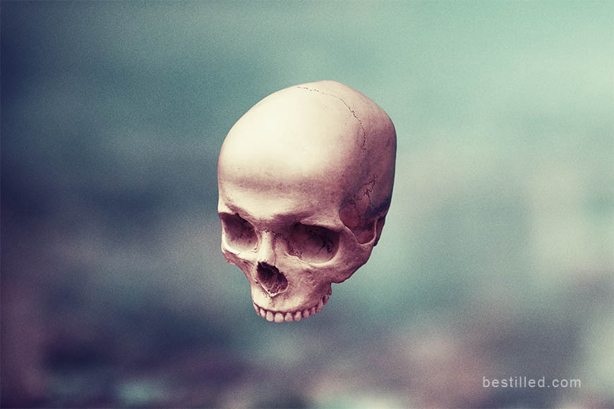 Skull on bokeh background, art photograph by Joseph Westrupp.