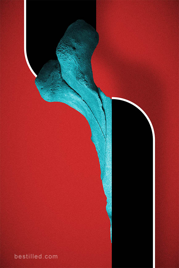 Blue elephant bone with striped geometric shapes on red background. Surreal abstract art by Joseph Westrupp.