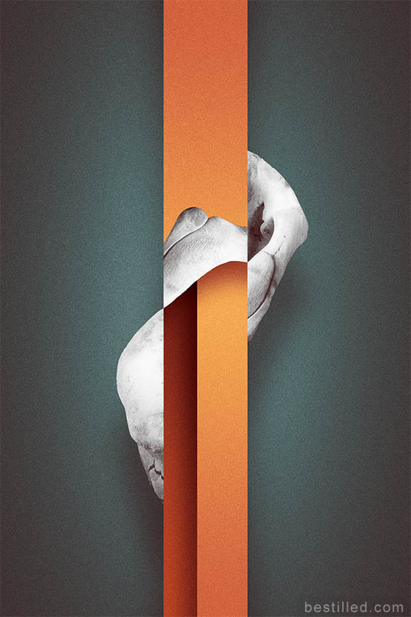 Black and white elephant bone collage on orange rectangles, against blue-green background. Surreal abstract art by Joseph Westrupp.