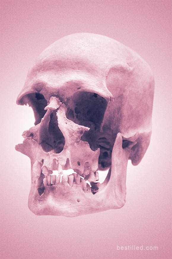 Pink eroded skull, surreal art photograph by Joseph Westrupp.