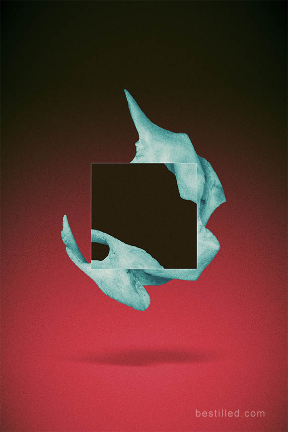 Blue tiger skull collage on black square floating over red background. Surreal abstract art photo by Joseph Westrupp.