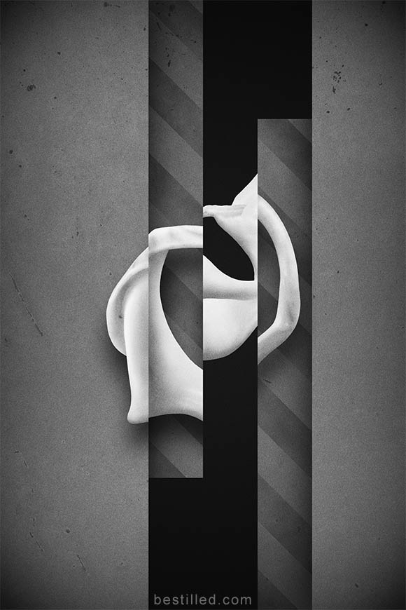 Geometric shell art in black and white. Abstract surrealism by Joseph Westrupp.