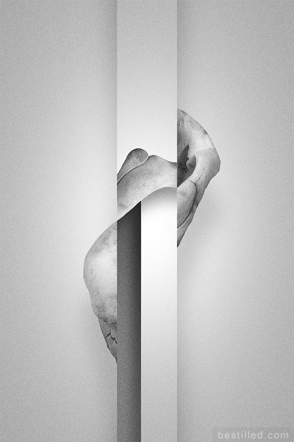 Elephant bone collage on rectangles. Surreal abstract art in black and white by Joseph Westrupp.